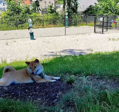 Webster Dog Park - Webster, MA