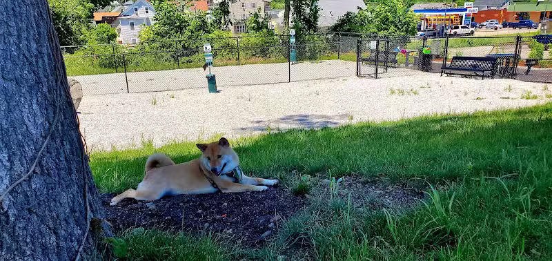 Webster Dog Park - Webster, MA