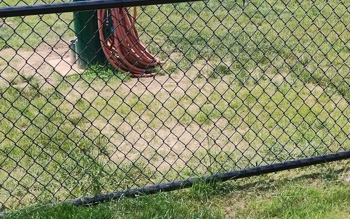 Webster Dog Park - Webster, NY