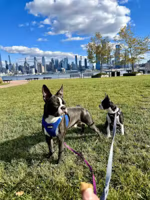 Lincoln Harbor Park - Weehawken Township, NJ