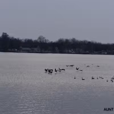 Coldwater Lake Family Park - Weidman,