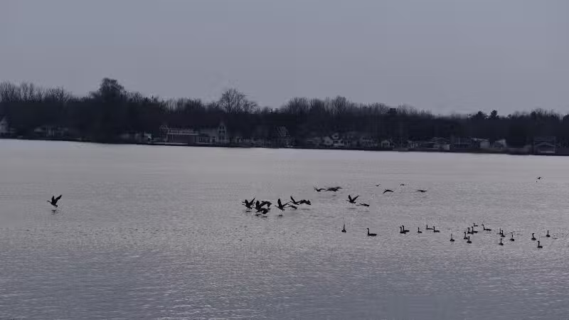 Coldwater Lake Family Park - Weidman,