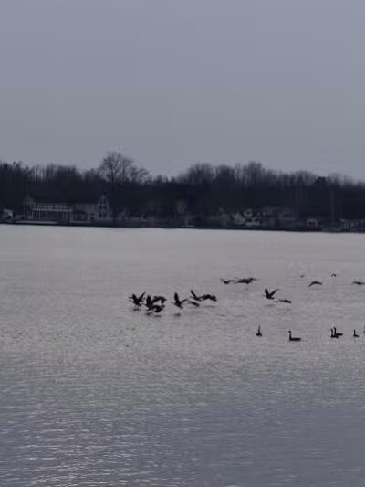 Coldwater Lake Family Park - Weidman,