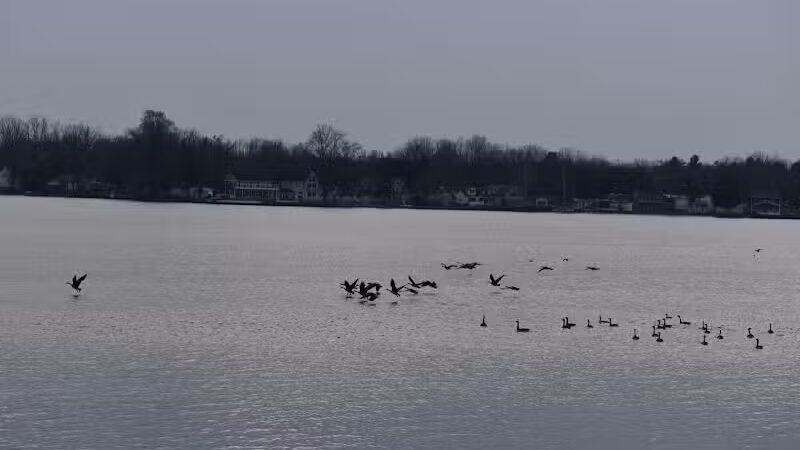 Coldwater Lake Family Park - Weidman,