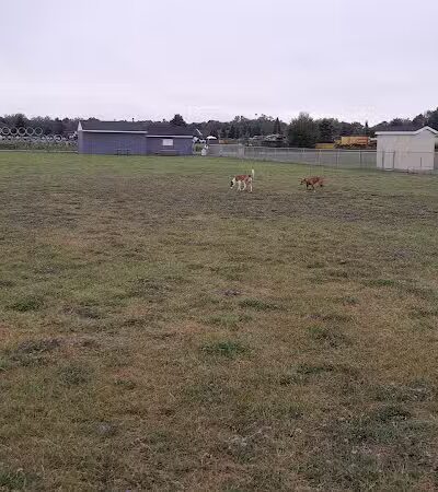 Wells Community Dog Park - Wells, MI