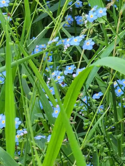 Low Bridge Park and River Access - Wellston,