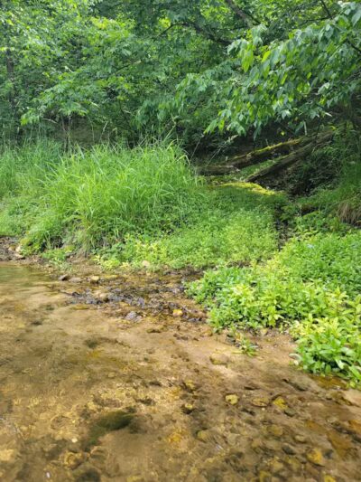 Low Bridge Park and River Access - Wellston,