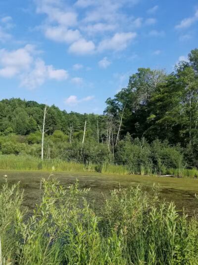 Low Bridge Park and River Access - Wellston,