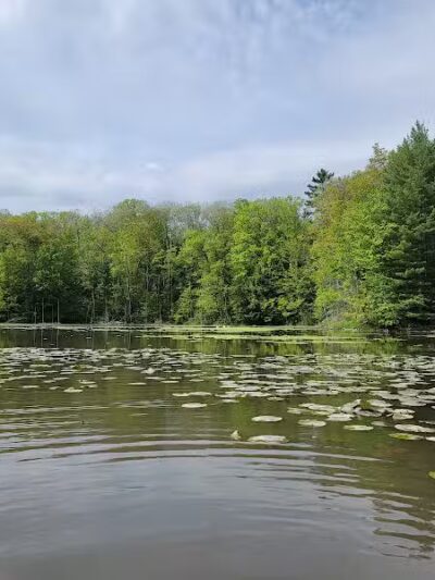 Low Bridge Park and River Access - Wellston,