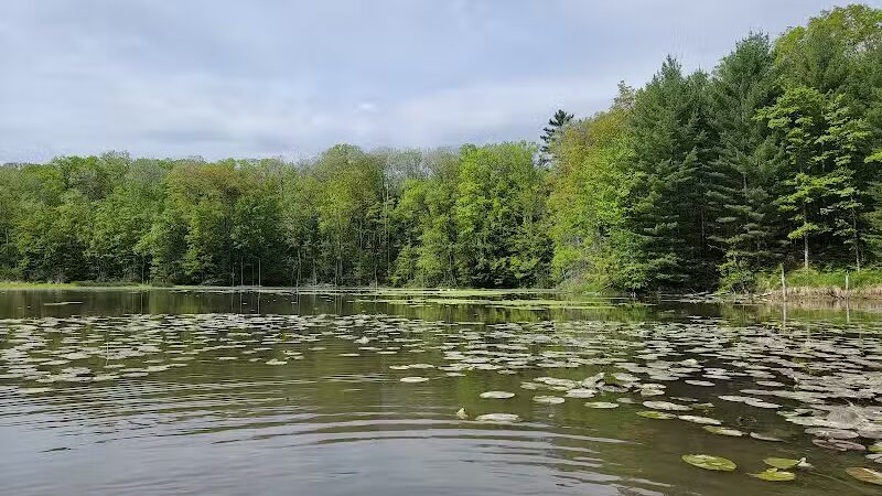 Low Bridge Park and River Access - Wellston,
