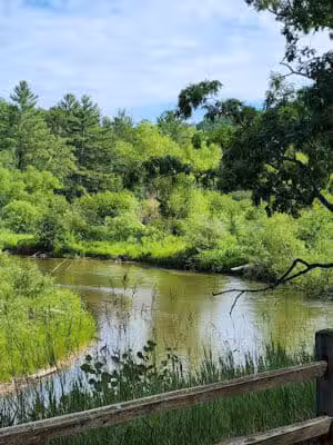 Low Bridge Park and River Access - Wellston,