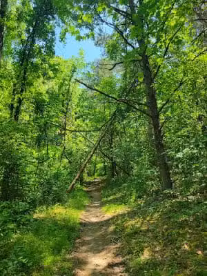 Blue Marsh Lake Holls Trail Head - Wernersville, PA