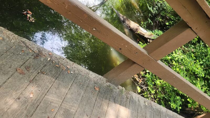 Belmont Lake State Park - West Babylon, NY