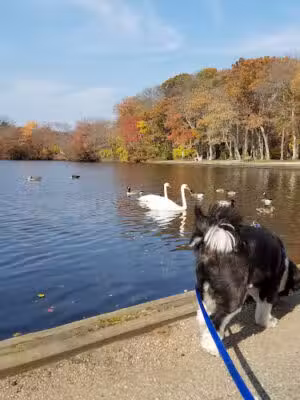 Belmont Lake State Park - West Babylon, NY