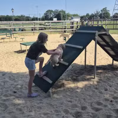 Berlin Dog Park - West Berlin, NJ