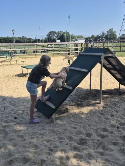 Berlin Dog Park - West Berlin, NJ