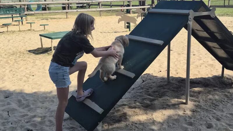 Berlin Dog Park - West Berlin, NJ