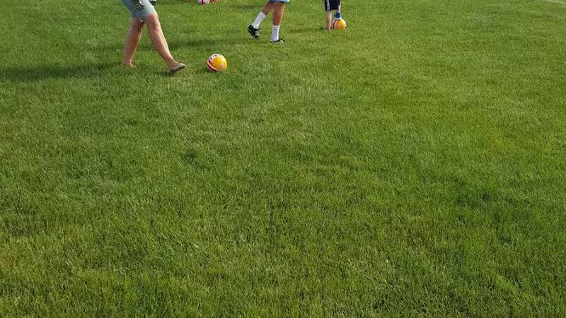 Drake Sports Park - West Bloomfield Township,