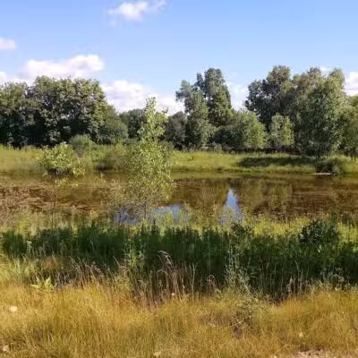 Drake Sports Park - West Bloomfield Township,