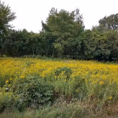 Karner Farm - West Bloomfield Township, MI