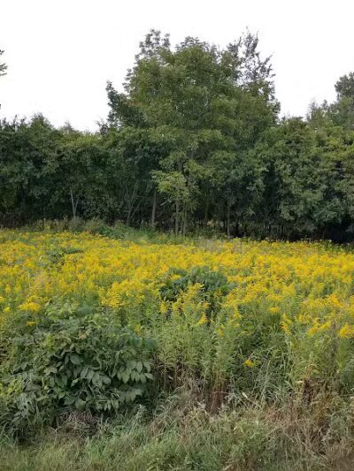 Karner Farm - West Bloomfield Township, MI