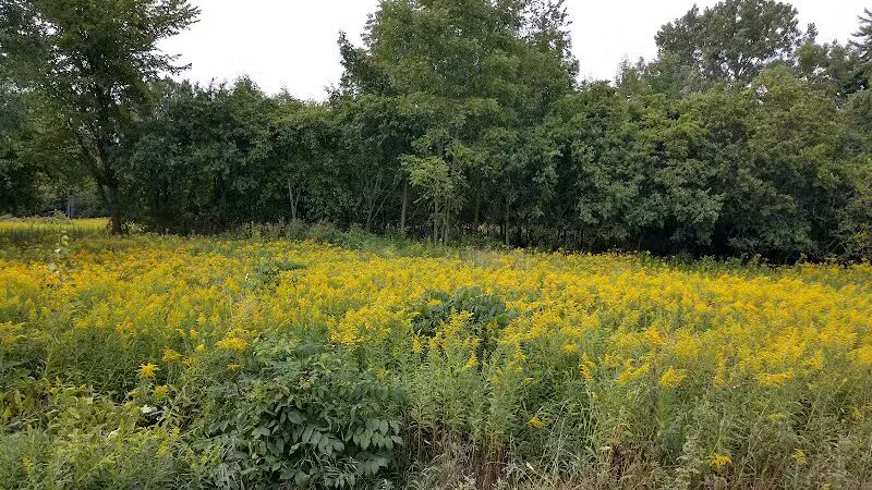 Karner Farm - West Bloomfield Township, MI