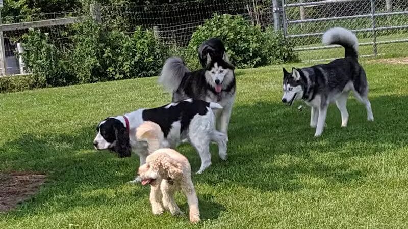 Karner Farm - West Bloomfield Township, MI
