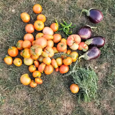 Karner Farm - West Bloomfield Township, MI
