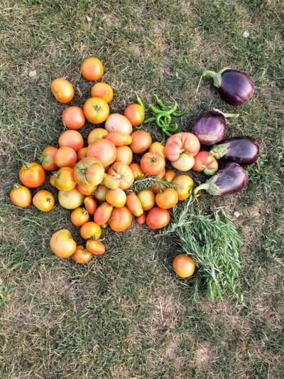 Karner Farm - West Bloomfield Township, MI