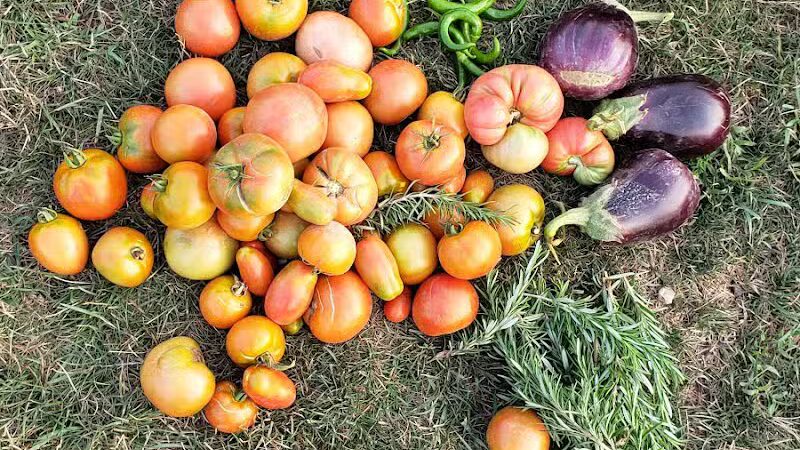 Karner Farm - West Bloomfield Township, MI