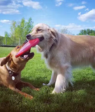 Karner Farm - West Bloomfield Township, MI