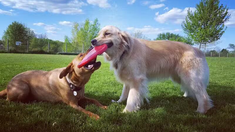 Karner Farm - West Bloomfield Township, MI