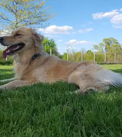Karner Farm - West Bloomfield Township, MI