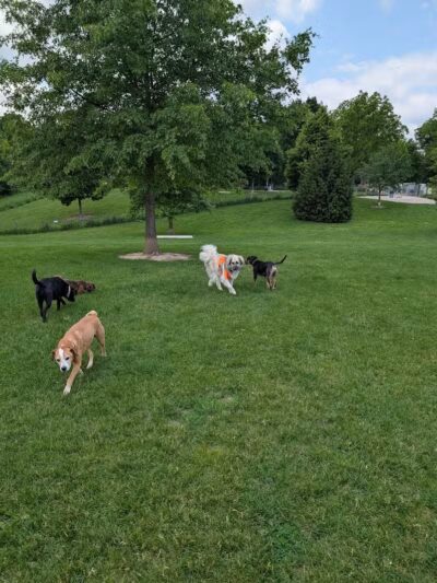Karner Farm - West Bloomfield Township, MI