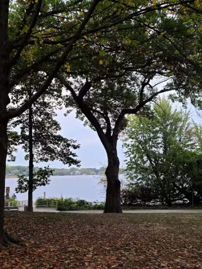 Marshbank Park - West Bloomfield Township,