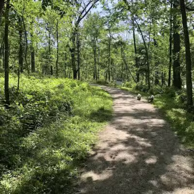 West Bloomfield Woods Nature Preserve - West Bloomfield Township,