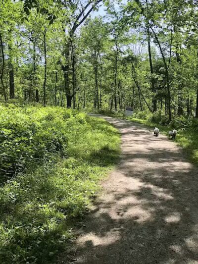 West Bloomfield Woods Nature Preserve - West Bloomfield Township,