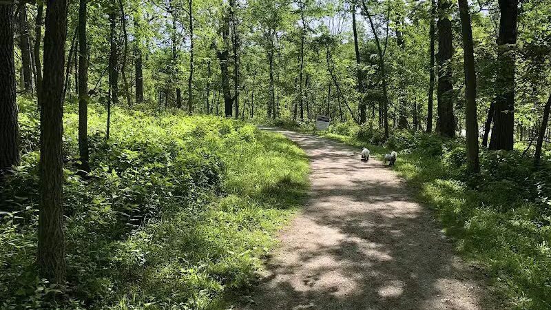 West Bloomfield Woods Nature Preserve - West Bloomfield Township,