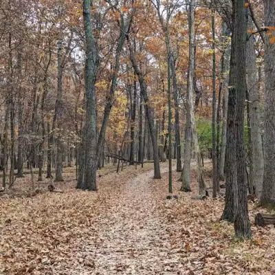 West Bloomfield Woods Nature Preserve - West Bloomfield Township,