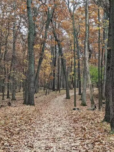 West Bloomfield Woods Nature Preserve - West Bloomfield Township,