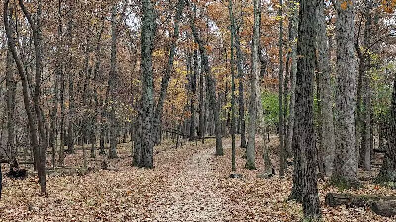 West Bloomfield Woods Nature Preserve - West Bloomfield Township,
