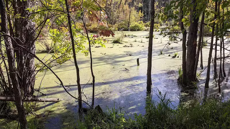 West Bloomfield Woods Nature Preserve - West Bloomfield Township,