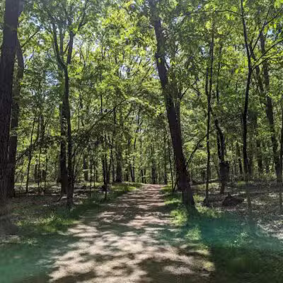 West Bloomfield Woods Nature Preserve - West Bloomfield Township,