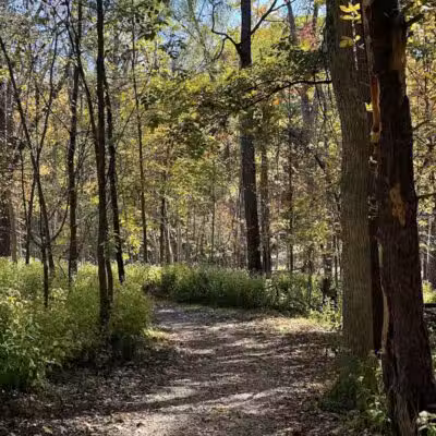 West Bloomfield Woods Nature Preserve - West Bloomfield Township,
