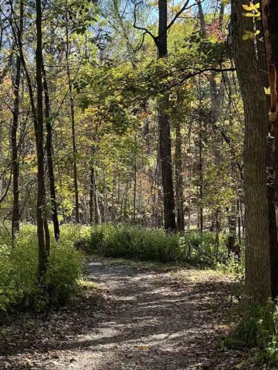 West Bloomfield Woods Nature Preserve - West Bloomfield Township,