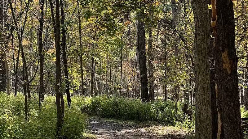 West Bloomfield Woods Nature Preserve - West Bloomfield Township,