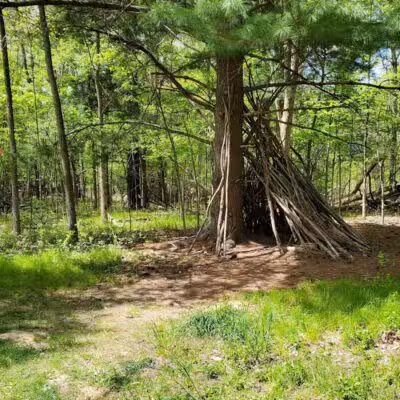 West Bloomfield Woods Nature Preserve - West Bloomfield Township,