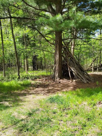 West Bloomfield Woods Nature Preserve - West Bloomfield Township,