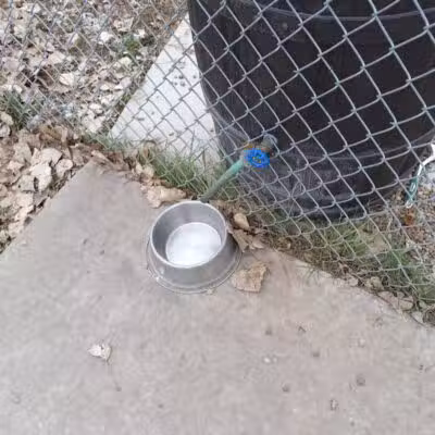 Dog Park - West Branch,