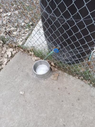 Dog Park - West Branch,